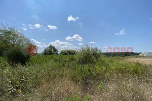 Terreno Residenziale Collesalvetti [Rif. 366/BVCG]