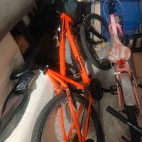 bicicletta mountain bike ragazzo