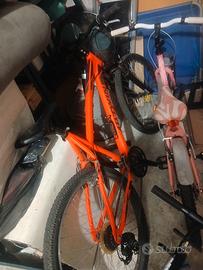 bicicletta mountain bike ragazzo