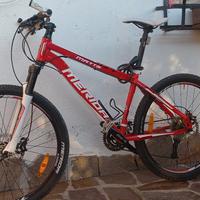 mtb bicicletta.