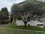 Immagine 12