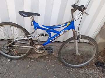 bicicletta 