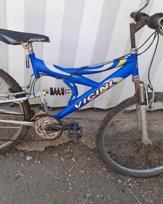 bicicletta 