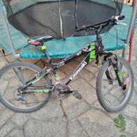 bicicletta bambino 24