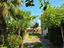 Immagine 29