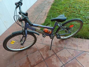 bicicletta