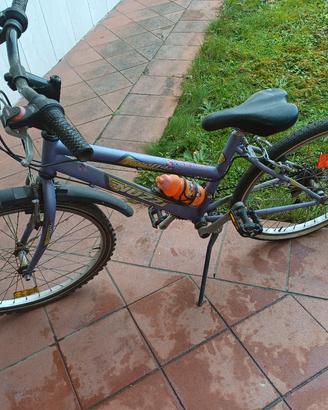 bicicletta