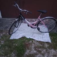 bicicletta donna