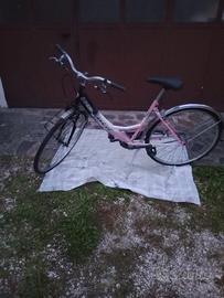 bicicletta donna
