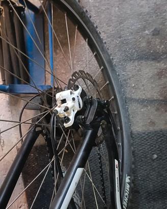 Bicicletta MTB