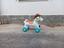 Immagine 2