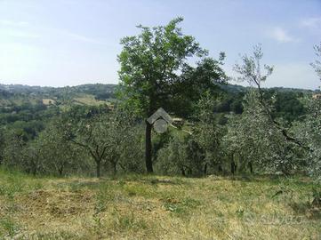 TER. AGRICOLO A POGGIO CATINO
