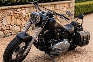 Harley softail slim  (103)  8000 km  DIMOSTRABILI