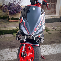 Benelli 491 Liquid Cooled (leggere descrizione)