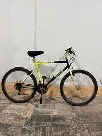 MTB Bianchi 26"