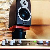 Dynaudio Bm6 MKII