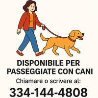 Passeggiate con i cani