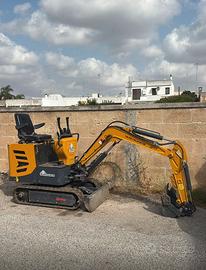 Miniscavatore 10 q