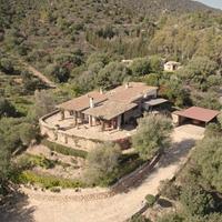 Prestigiosa villa singola con uliveto