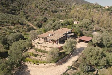 Prestigiosa villa singola con uliveto
