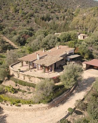 Prestigiosa villa singola con uliveto