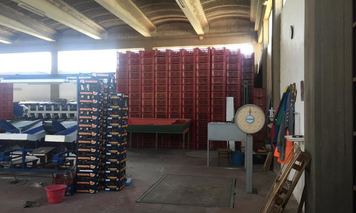 Capannone industriale