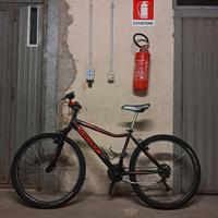 Mountain bike Vicini