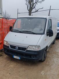 Furgone Fiat Ducato