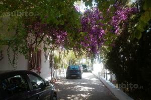 Ville nei pressi di lido silvana