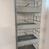 gabbia colonna 4 posti 