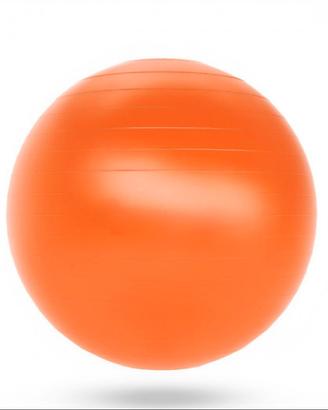 Palla ginnica 65 cm 