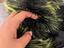 Immagine 3