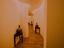 Immagine 18