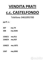 Vendita terreni agricoli