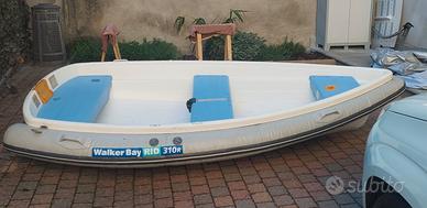 Walker Bay RID 310 con motore Selva 6CV
