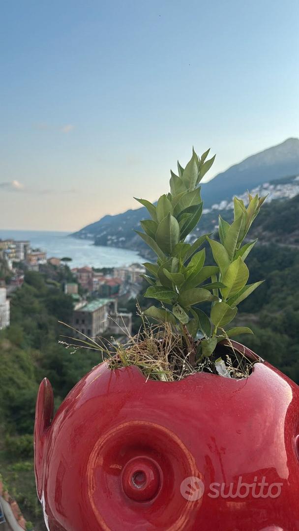 Appartamento – Vietri sul Mare, Marina di Vietri - Vista 4