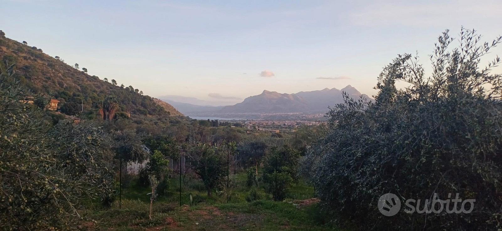 Terreno panoramico con casetta rurale Ter/37 - Vista 3