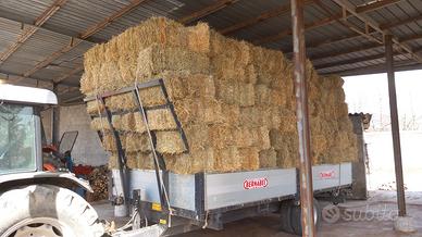 fieno  in presse ballette