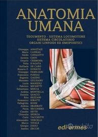 TRATTATO DI ANATOMIA UMANA ANASTASI 