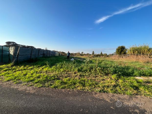 Terreno agricolo. Via Isillo 40, 00124 roma