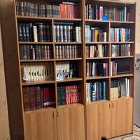 Libreria doppia in legno chiaro