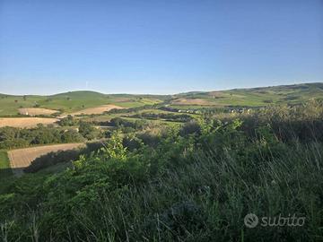 Terreno di 56000 m² a Larino