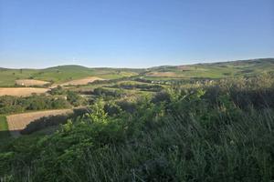 Terreno di 56000 m² a Larino