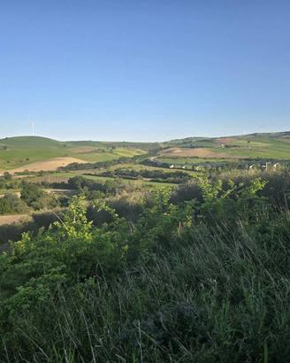 Terreno di 56000 m² a Larino