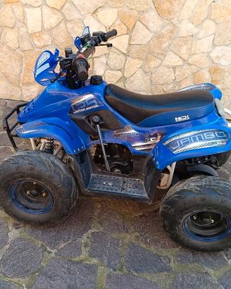 Mini Quad 50cc 
