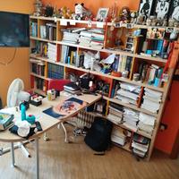 Libreria e scrivania