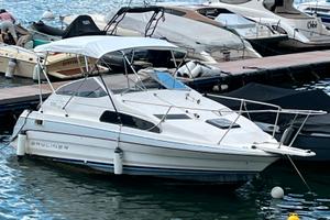 Bayliner 2255 solo lago cabinato con posto barca