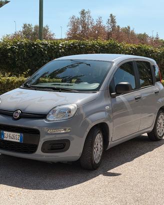 Fiat Panda 1.0 Hybrid 70 CV 
2022 