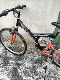 mountain bike