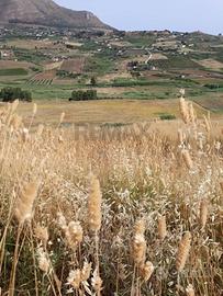 Terreno - Calatafimi-Segesta
